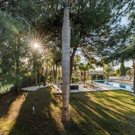 Anna Pool Gym Cinema Pool 7 Bedrooms Villa Marbella